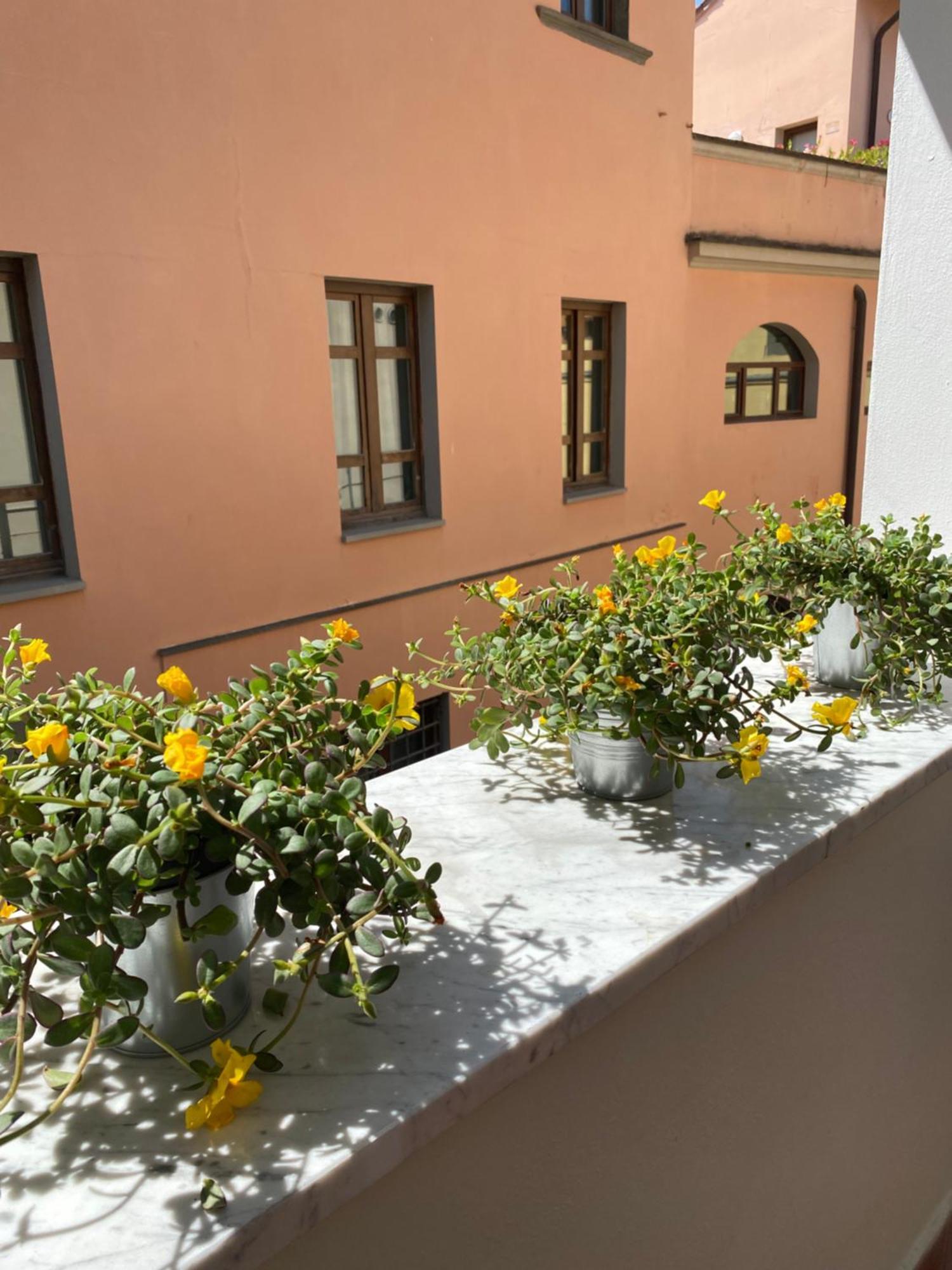 Blom Apartments Πίζα Εξωτερικό φωτογραφία